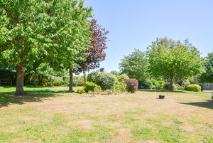 Photo 11- click for photo gallery